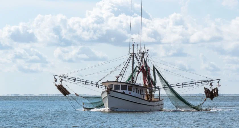 Shrimp boat